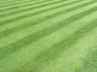 striped grass mowing pattern