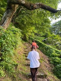 #takayama #japan #forest #stairwaytoheaven #summer #green #nature