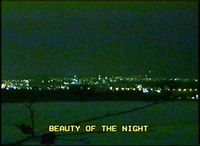 "beauty of the night"