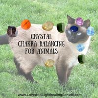 Crystal Chakra Healing for Animals