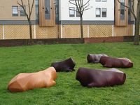 Julia Lohmann | Cow benches