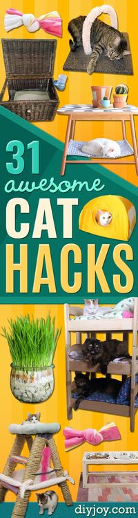 DIY Cat Hacks - Tips and Tricks Ideas for Cat Beds and Toys, Homemade Remedies for Fleas and Scratching - Do It Yourself Cat Treat Recips, Food and Gear for Your Pet - Cool Gifts for Cats http://diyjoy.com/diy-cat-hacks