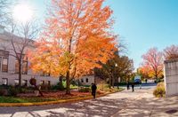 Indiana State University campus fall trees