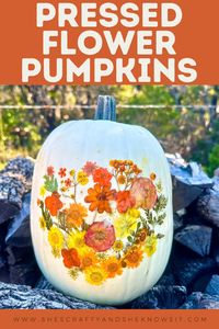 This is such a unique way to decorate your pumpkins, and it’s something fun to do with your kids/grandkids, or with a group of friends for a craft night! The full tutorial and supplies are linked so click and start crafting!