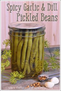 Spicy Garlic & Dill Pickled Beans Recipe | The House & Homestead