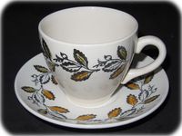 Broadhurst China Kathie Winkle Autumn Cup & Saucer Set