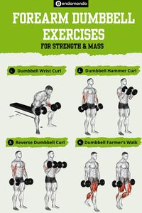 Transform your forearms with our ultimate guide to forearm workouts with dumbbells! 💪 Strengthen and bulk up with our top picks for forearm workouts with dumbbells. Ready to sculpt impressive strength and mass? Click now!