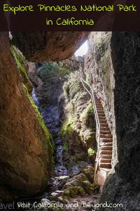 Explore Pinnacles National Park in California - enjoy the beautiful central California park which offers exciting trails, rock climbing, camping and exploring the unique features and beautiful vista points around the park. This includes: large rock caves, reservoirs, rock formations and even California condors in the area.