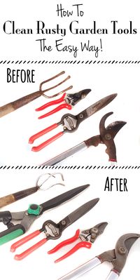 {Garden} How To Clean Rusty Garden Tools – The Easy Way! – Sweet Little Sparrow