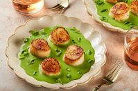 This luxe-tasting meal of scallops and herb sauce comes together fast, making it a terrific weeknight dinner.