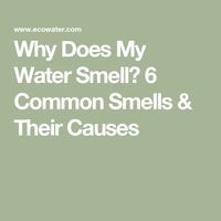 Why Does My Water Smell? 6 Common Smells & Their Causes