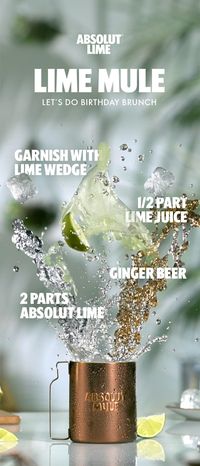 Who needs cake? This easy-to-make twist on a classic cocktail recipe is the perfect way to celebrate a birthday brunch. Lime Mule: Fill mug with ice Add 2 Parts Absolut Lime Add ½ Part Lime Juice Top with Ginger Beer Garnish with lime wedges