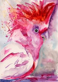 Pink Cockatoo is a watercolor painting of my Birds series • Also buy this artwork on wall prints, apparel, stickers, and more.