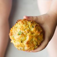 Child Holding Vegetable Savoury Muffin