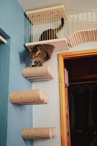 Cat Steps for Wall Big Climbing Stairs Climbing Post for - Etsy