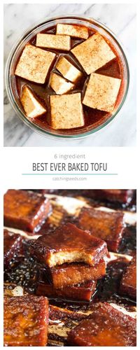 This 6 ingredient Best Ever Baked Tofu is jam packed with savory & sweet flavor! Learn how to make even tofu haters into lovers with this recipe. | CatchingSeeds.com