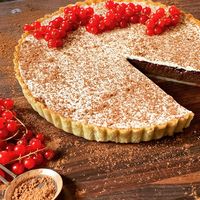 Chocolate Ganache and Red Currant Tart – Bakers Brigade