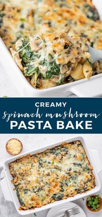 Pasta with spinach & mushroom sautéed in butter and garlic then baked in parmesan cream sauce. This creamy pasta casserole is packed full of flavor and makes a delicious quick weeknight dinner!