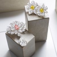 Take centre stage wearing #GraffDiamonds radiant, exceptionally rare flower brooches.