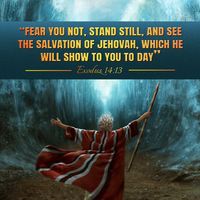 If you run into difficulties, having no way out and losing your faith, this video can help you. Fear you not, stand still, and see the salvation of Jehovah, which He will show to you to day” (Exodus 14:13). When you click on the link to watch this video, When you see that God parted the sea because Moses relied on Him, Don’t hesitate! Click to watch now.