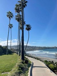 San Diego, aesthetic, beaches, beach aesthetic, California aesthetic, trail, sunset, sunshine, nature, CA, Streets, palms, la jolla, cliffs, night life, travel USA, trip, west coast🤍