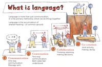 Infographic about language