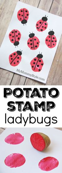 Potato stamp ladybugs, fun and easy preschool craft for bug or ladybug week. Perfect art project to go along with the Grouchy Ladybug or Ladybug Girl books.