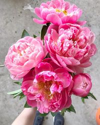 These pink fluffy peonies are the most gorgeous bloom to add to your summer wedding. Nothing says over the top like these blooms. You need just a few pink peonies in your bridal bouquet to make it perfection.  Flower Shack Blooms- Dallas / San Antonio wedding florist