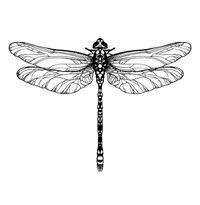 Vector Dot Illustration of a Dragonfly - Etsy