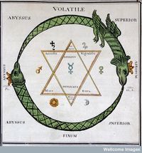 Marinier, Miracle naturel: zodiac chart.