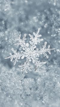 Ice Snowflake iPhone 7 Plus Wallpaper