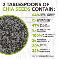 chia seed medicinal properties - Google Search