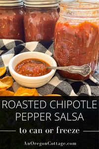 Use this roasted chipotle salsa recipe to keep homemade salsa on your shelf (or the freezer) all winter long. The simple added step of roasting the veggies adds SO much flavor!