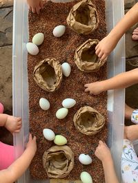 The CUTEST bird nest sensory bin – Raising Loving Littles