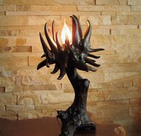 The Wood Light Fixture or the Tree Root Table Lamp in Dark Academia Decor Style. It is a Unique Lamp at Night & a Driftwood Sculpture by Day