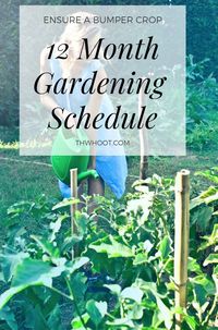 Garden Planting Schedule Year Round Infographic Video Tutorial