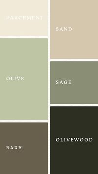 Create elegant and serene designs with our sophisticated color palettes. This palette features a combination of white and sand beige, with hints of olive green and sage green, perfect for achieving a natural and refined look. Ideal for fashion brands, weddings, events, or any project aiming for a calm and elegant feel. Use these colors to enhance your designs with a touch of serenity.