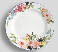 Floral Rim Dinner Plates, Set of 4 | Pottery Barn