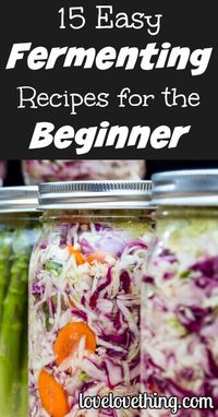 15 EASY fermenting recipes for the fermenting beginner!