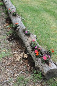 Paint Speckled Pawprints: Re-Purposed Tree Log Planter