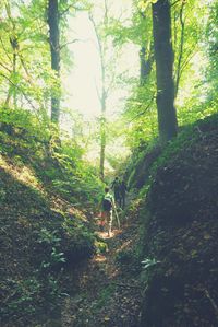 Adventurous Hiking in the Ardennes - Belgium