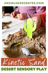 Embark on a desert adventure with Knowledge Crates' small world play setup! 🌵 Let your child's imagination roam free as they explore the desert landscape using kinetic sand and desert figurines. Don't miss out on more desert unit activities in our blog post! Click to discover the fun. #SmallWorldPlay #DesertExploration #KineticSand