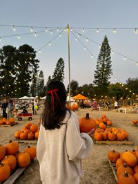 Library, rory gilmore, autumn vibes, fall vibes, fall aesthetic, autumn aesthetic, gilmore girls, pinterest vibes, pumpkin patch, pumpkin patch aesthetic, cozy sweater, rory gilmore sweater, ribbon hairstyle