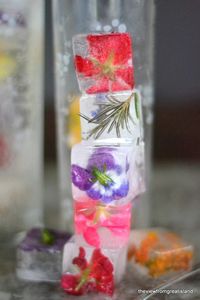 Photo of a stack of Edible Flower Ice Cubes.