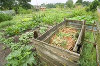 How to make compost that's more nutritious :)