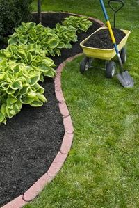 Landscaping on a Budget: A Better Lawn for Less!