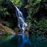 The gorgeous Elebana Falls in Lamington National Park #thisisqueensland by @brad_au