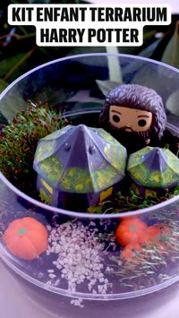  

https://www.luckysophie.com/2021/10/terrarium-harry-potter-la-cabane-d-hagrid.html

