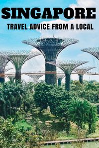 Planning a trip to Singapore? Find out the best things to do, where to eat, where to stay and much more! This local's travel guide will give you all the advice you need to plan your trip, including off the beaten track tips. #singapore #asia #likealocal #traveladvice