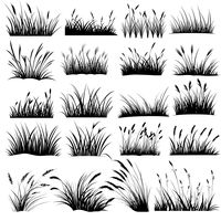 Elevate your crafting game with our stunning Lush Grass SVG Bundle! This digital collection includes 20 high-quality cut files designed for use with Cricut and Silhouette machines. Perfect for nature-inspired projects, landscaping designs, or adding a touch of greenery to your creations. What's Included: 20 Grass SVG files Compatible with Cricut, Silhouette, and other cutting machines Instant download for quick and easy access 🛍️ Commercial use is permitted - gallop into the world of selling yo